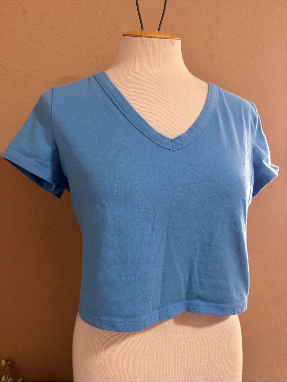 wild fable Light Blue V-Neck Crop Top